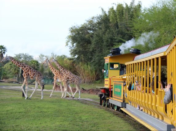 Busch Gardens Serengeti Railway