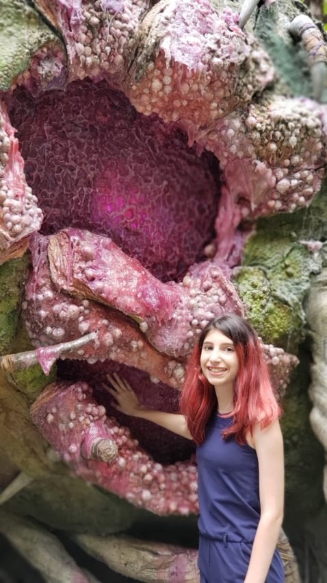 Onde tirar fotos na disney Animal Kingdom (256)