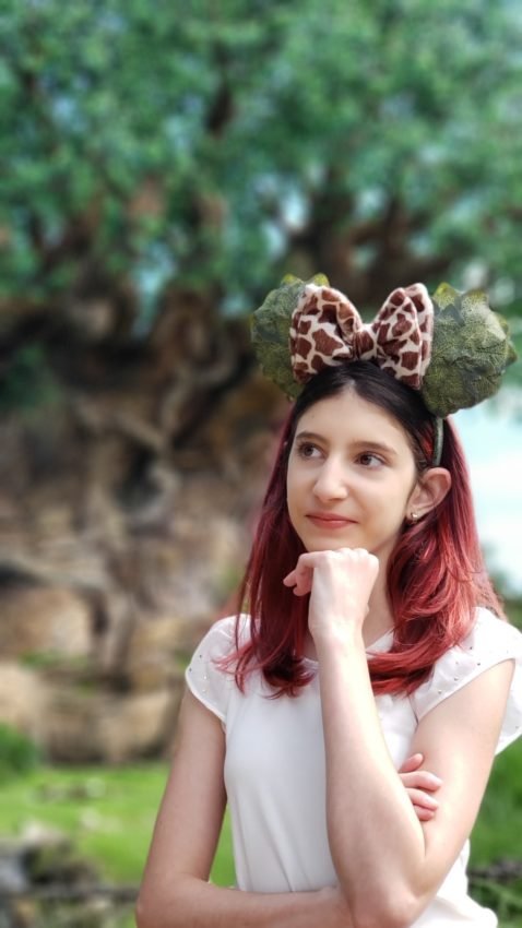 Onde tirar fotos na disney Animal Kingdom (4)