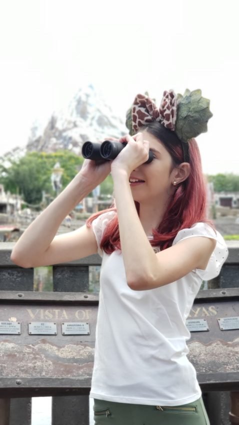 Onde tirar fotos na disney Animal Kingdom (59)