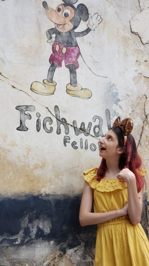 Onde tirar fotos na disney Animal Kingdom (83)